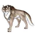 Koamohwolf