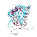 Man-o'-war